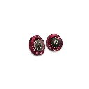 TORNILLO PLACA ROJO-Photoroom (1).webp