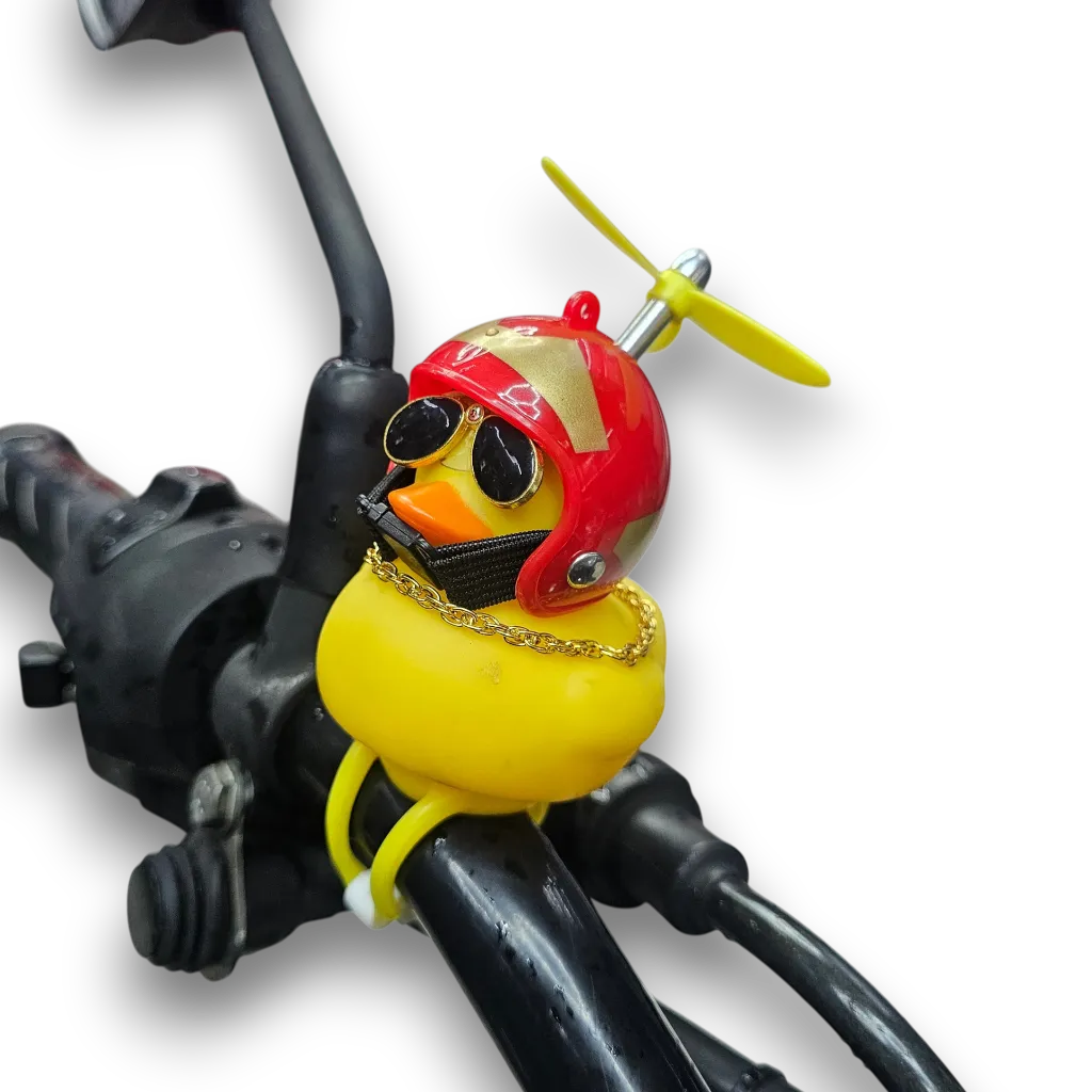 PATO MOTERO-Photoroom (2).webp