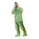 DESECHABLEDAYTURTLE-Photoroom.webp