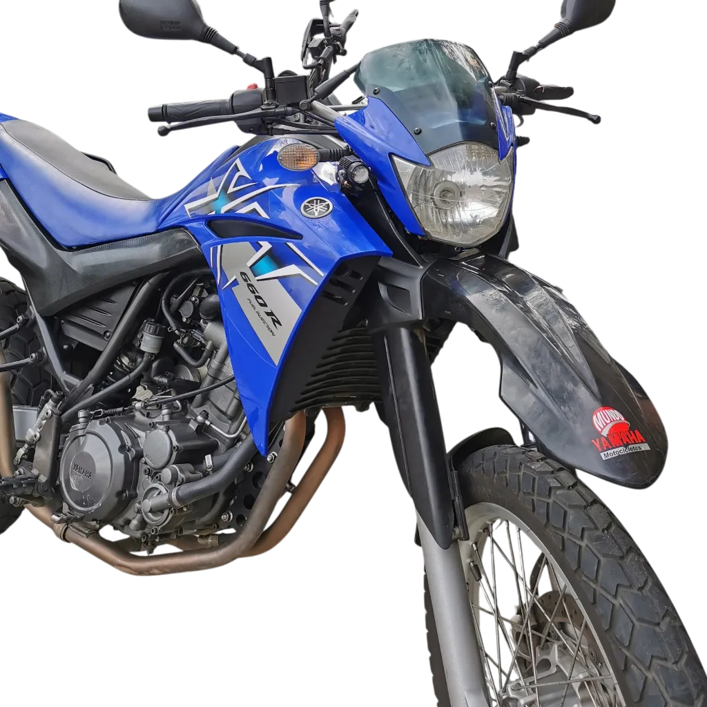 P.BARRAS-Photoroom_1.webp