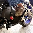 PROTECTOR DE ZAPATO TELA GETO PREMIUM- ZAPATERA3.webp