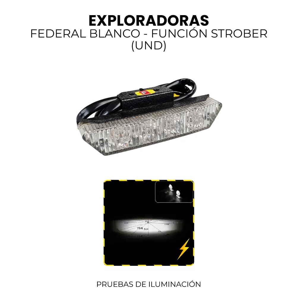 EXPORADORA FEDERAL BLANCO